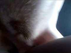 Kats Spielhaus Gruppenchat: Schau zu, wie eine Milf von einem großen schwarzen Schwanz gefickt wird
