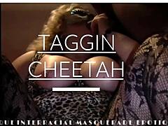 Taggin Cheetahs vällustiga resa i en intensiv interracial möte