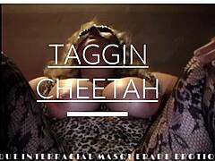 Perjalanan berisi Taggin Cheetah dalam pertemuan interracial yang intens