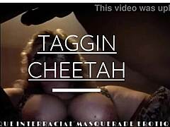 Taggin Cheetah's voluptuous journey in an intense interracial encounter