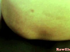 Elegant puma med stora bröst blir analt knullad av stor svart kuk