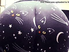 Madres con grandes nalgas en pantalones de gato alardean de sus curvas atractivas