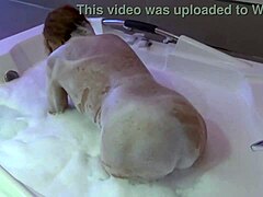 La esposa madura recibe su coño lamido y follado en la ducha por su marido