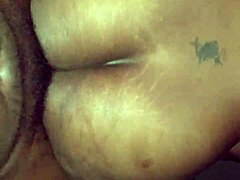 Close-up of asshole and pussy fucking in HD video